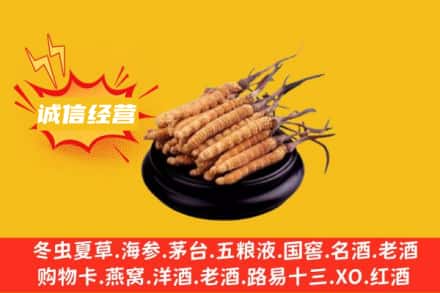 莱芜回收冬虫夏草